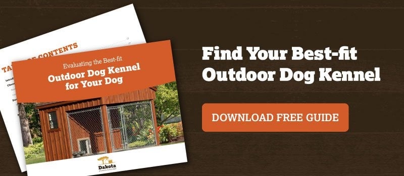 Best 2024 outdoor kennel